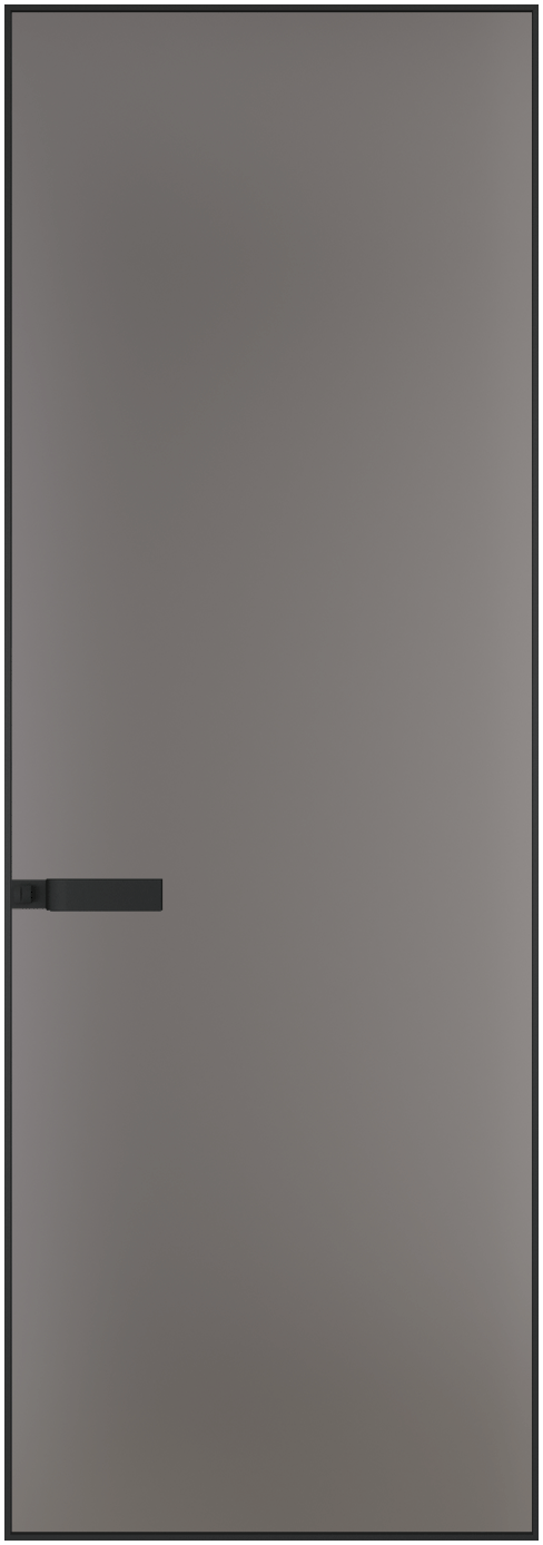 1AGN монохром